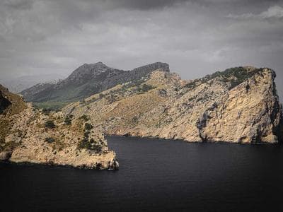 Motion Design Principles — After Effects Templates