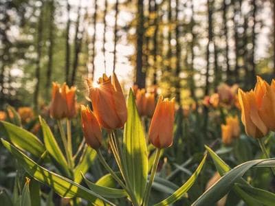 UX Writing Guide — Microcopy & Content Patterns